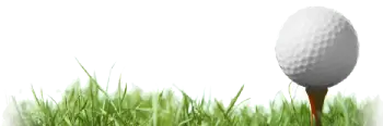 Decorative green grass illustration